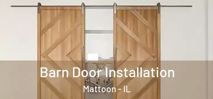 Barn Door Installation Mattoon - IL