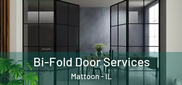 Bi-Fold Door Services Mattoon - IL