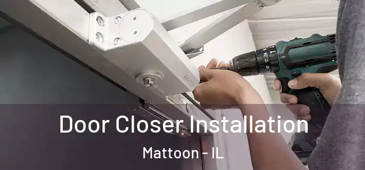  Door Closer Installation Mattoon - IL