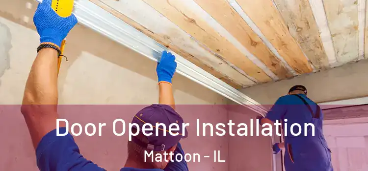 Door Opener Installation Mattoon - IL