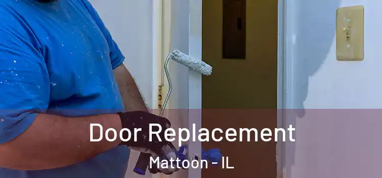 Door Replacement Mattoon - IL