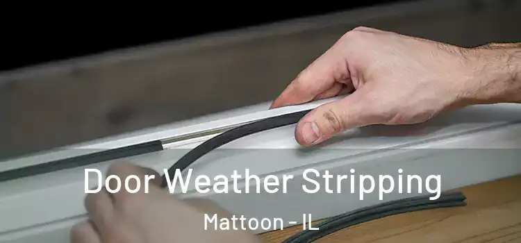 Door Weather Stripping Mattoon - IL
