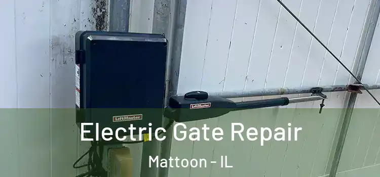 Electric Gate Repair Mattoon - IL