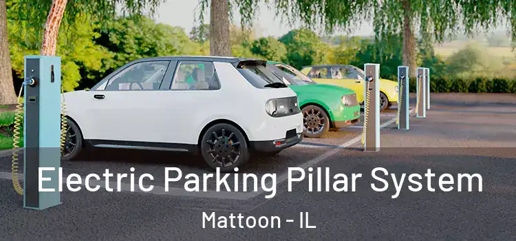 Electric Parking Pillar System Mattoon - IL