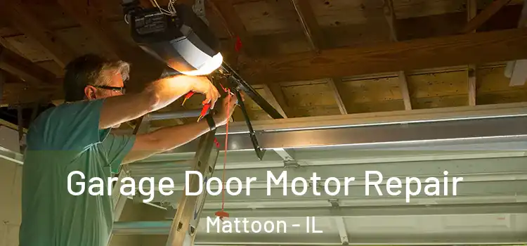  Garage Door Motor Repair Mattoon - IL