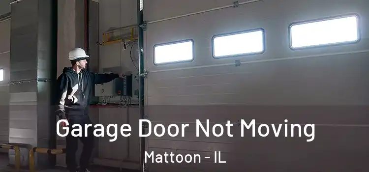  Garage Door Not Moving Mattoon - IL