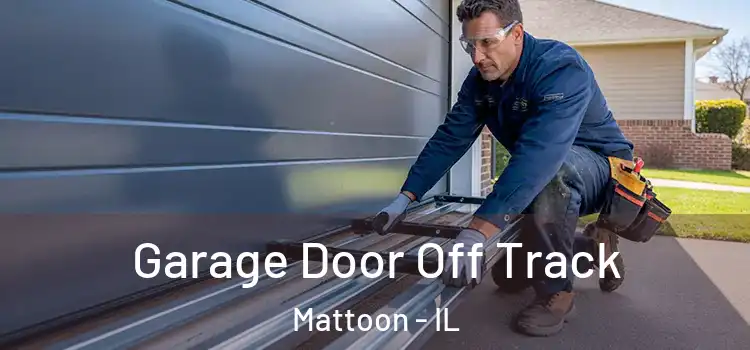  Garage Door Off Track Mattoon - IL