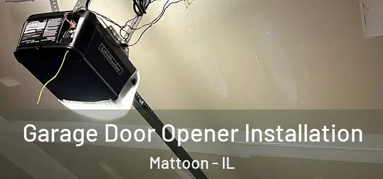  Garage Door Opener Installation Mattoon - IL