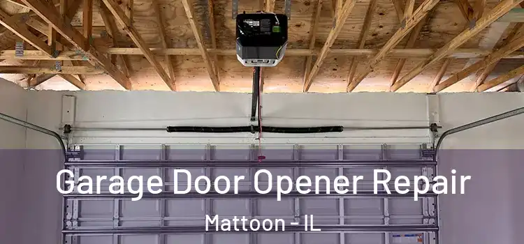  Garage Door Opener Repair Mattoon - IL