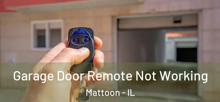  Garage Door Remote Not Working Mattoon - IL