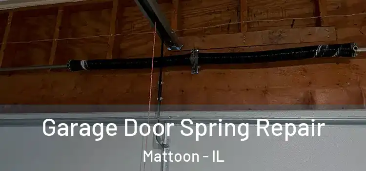  Garage Door Spring Repair Mattoon - IL