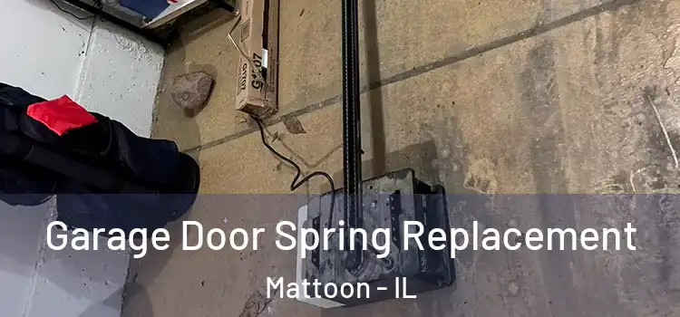  Garage Door Spring Replacement Mattoon - IL