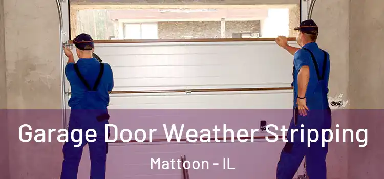  Garage Door Weather Stripping Mattoon - IL