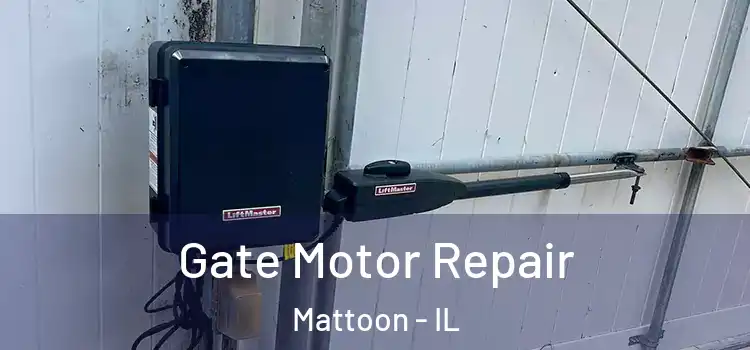 Gate Motor Repair Mattoon - IL