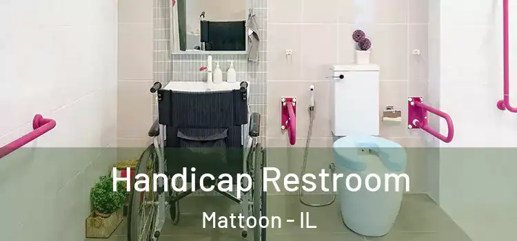 Handicap Restroom Mattoon - IL