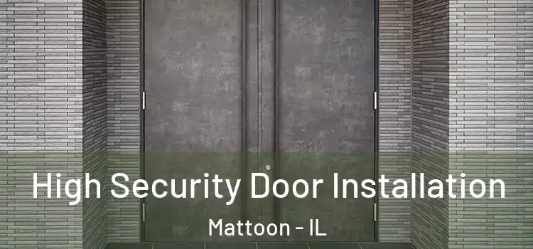 High Security Door Installation Mattoon - IL