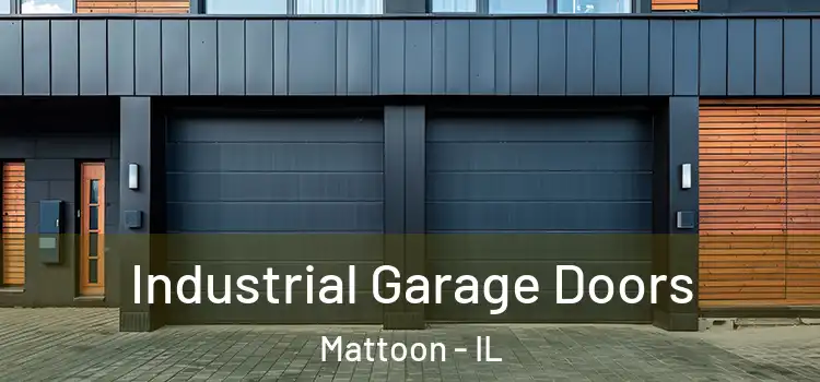  Industrial Garage Doors Mattoon - IL