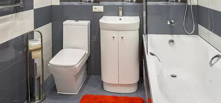 Hansgrohe Shaving Mirror Mattoon