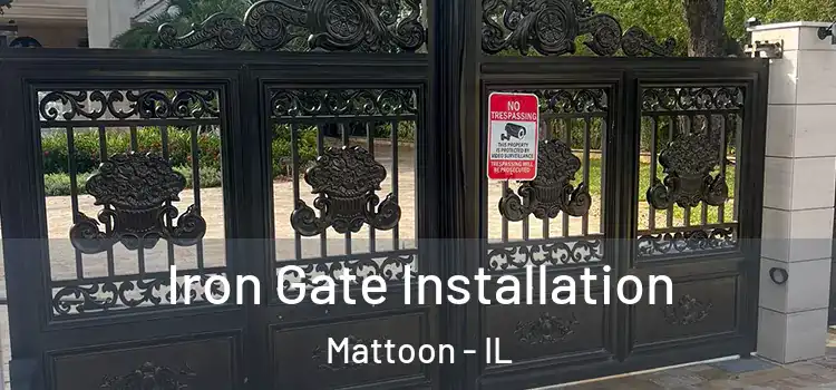 Iron Gate Installation Mattoon - IL