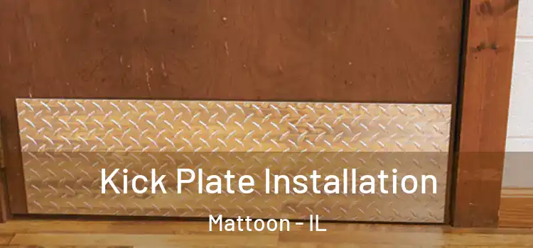 Kick Plate Installation Mattoon - IL