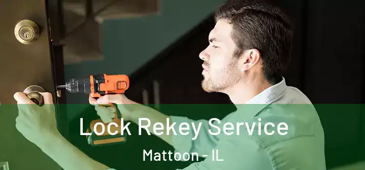 Lock Rekey Service Mattoon - IL