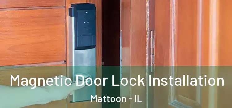  Magnetic Door Lock Installation Mattoon - IL