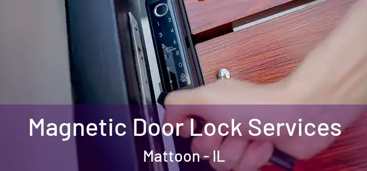 Magnetic Door Lock Services Mattoon - IL