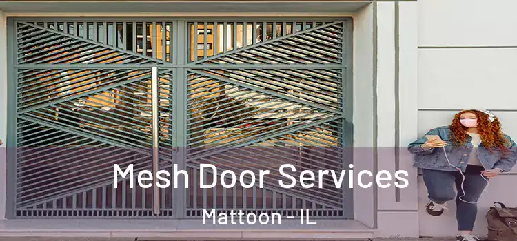 Mesh Door Services Mattoon - IL