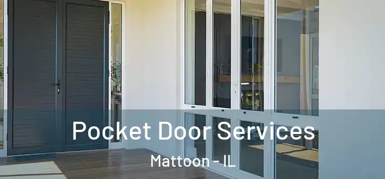 Pocket Door Services Mattoon - IL