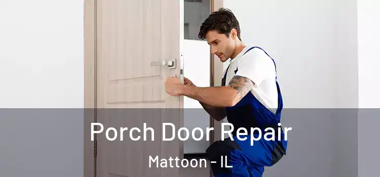  Porch Door Repair Mattoon - IL