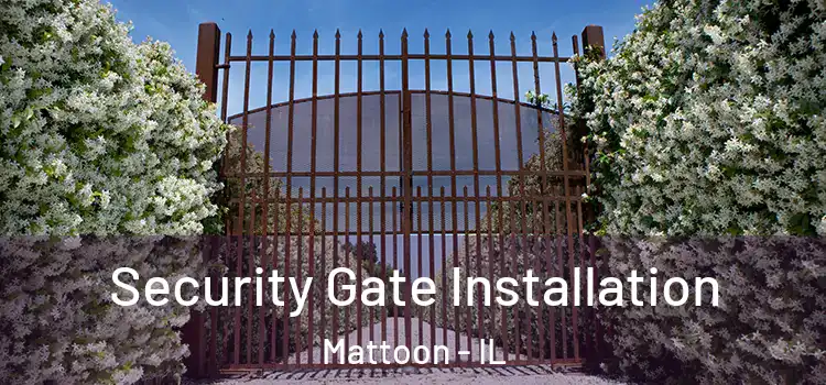 Security Gate Installation Mattoon - IL