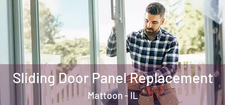  Sliding Door Panel Replacement Mattoon - IL