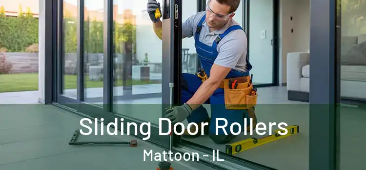 Sliding Door Rollers Mattoon - IL