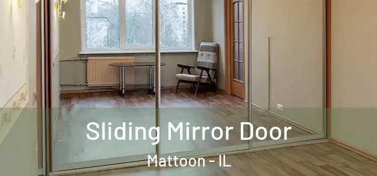  Sliding Mirror Door Mattoon - IL
