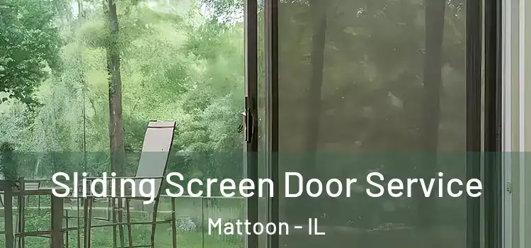 Sliding Screen Door Service Mattoon - IL