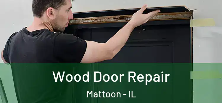 Wood Door Repair Mattoon - IL